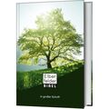 Coverbild von Elberfelder Bibel in großer Schrift